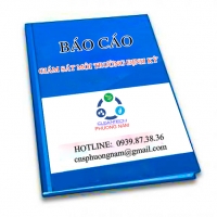 Báo cáo giám sát môi trường - Xử Lý Nước Thải Phương Nam - Công Ty TNHH Phát Triển Công Nghệ Sạch Phương Nam